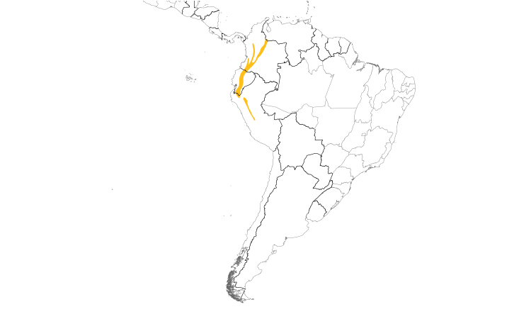 Range Map (South): Powerful Woodpecker