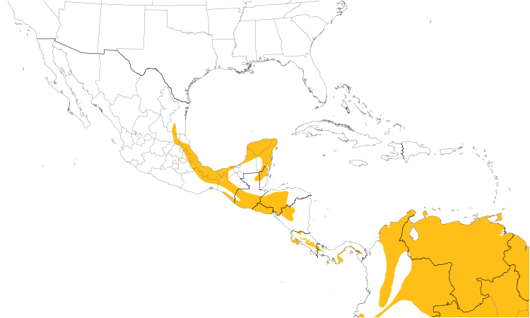 Range Map (Central): Rufous-browed Peppershrike