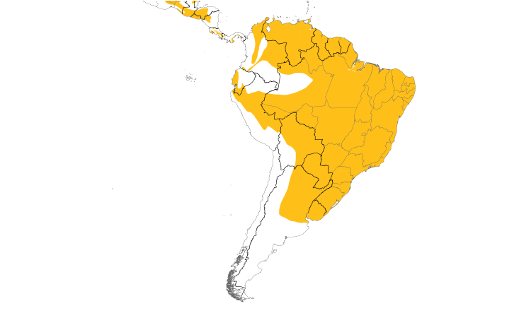 Range Map (South): Rufous-browed Peppershrike