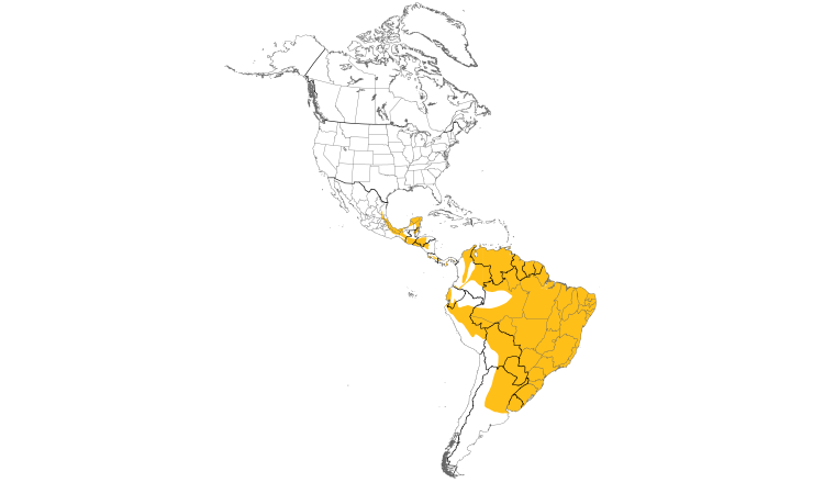 Range Map (Americas): Rufous-browed Peppershrike