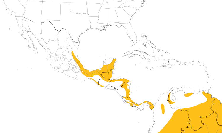 Range Map (Central): Black-and-white Hawk-Eagle