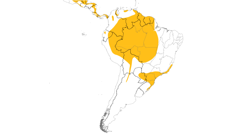 Range Map (South): Black-and-white Hawk-Eagle