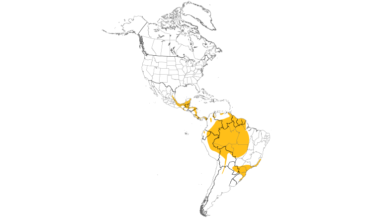 Range Map (Americas): Black-and-white Hawk-Eagle