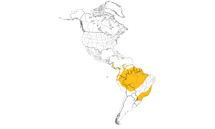 Range Map (Americas): Tiny Hawk