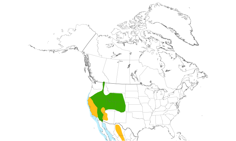 Range Map (North): Clark's Grebe