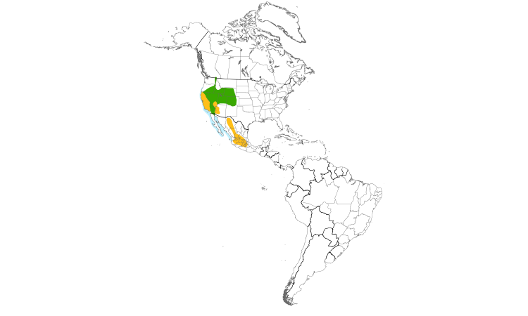 Range Map (Americas): Clark's Grebe