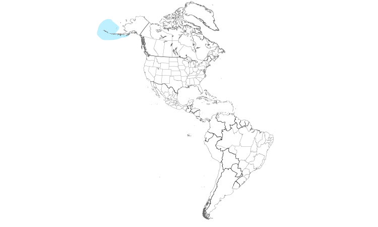 Range Map (Americas): Crested Auklet