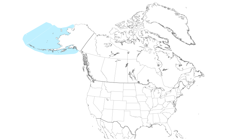 Range Map (North): Parakeet Auklet
