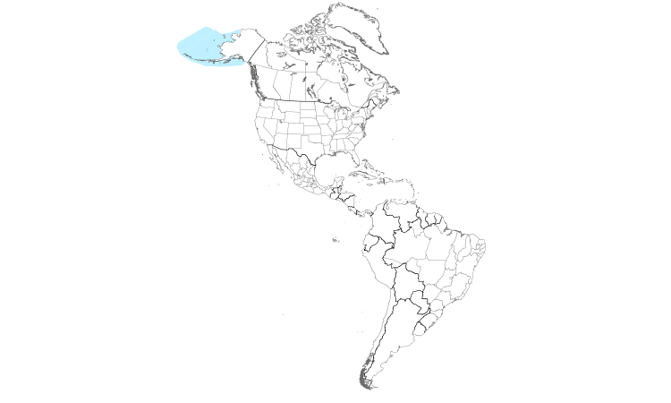 Range Map (Americas): Parakeet Auklet