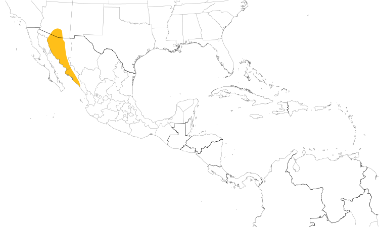 Range Map (Central): Rufous-winged Sparrow
