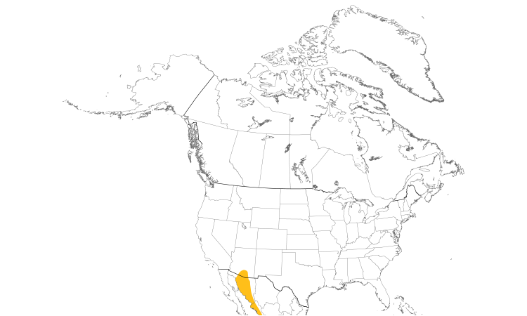 Range Map (North): Rufous-winged Sparrow