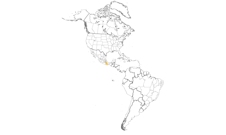 Range Map (Americas): Bridled Sparrow