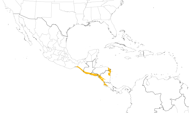 Range Map (Central): Yellow-naped Parrot