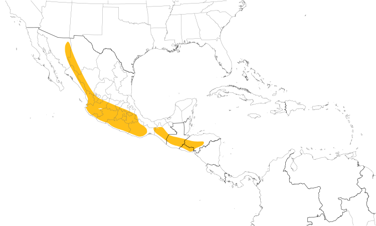 Range Map (Central): Berylline Hummingbird