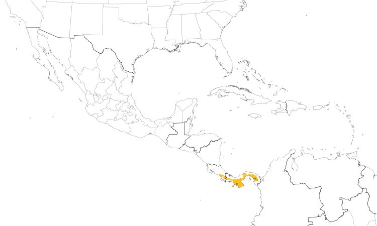 Range Map (Central): Snowy-bellied Hummingbird