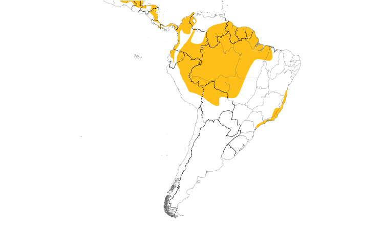 Range Map (South): Mealy Parrot