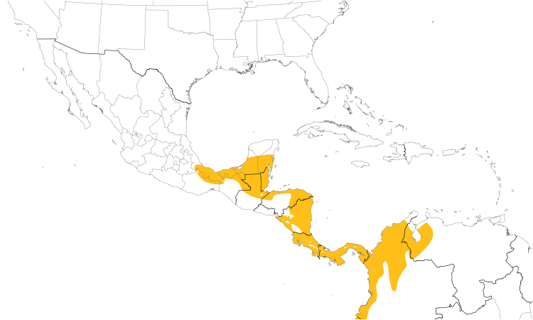 Range Map (Central): Rufous-tailed Hummingbird
