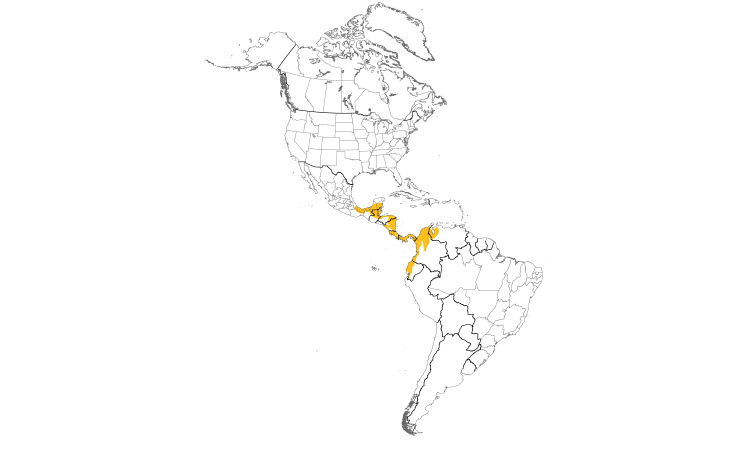 Range Map (Americas): Rufous-tailed Hummingbird