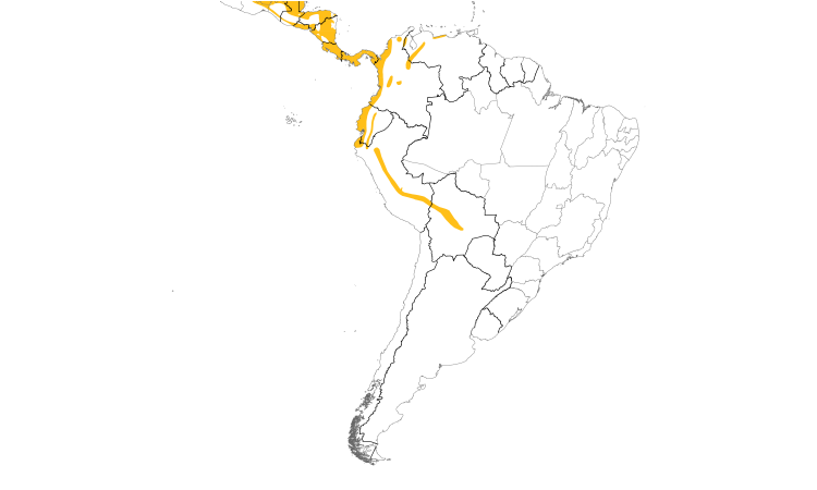Range Map (South): Yellow-billed Cacique