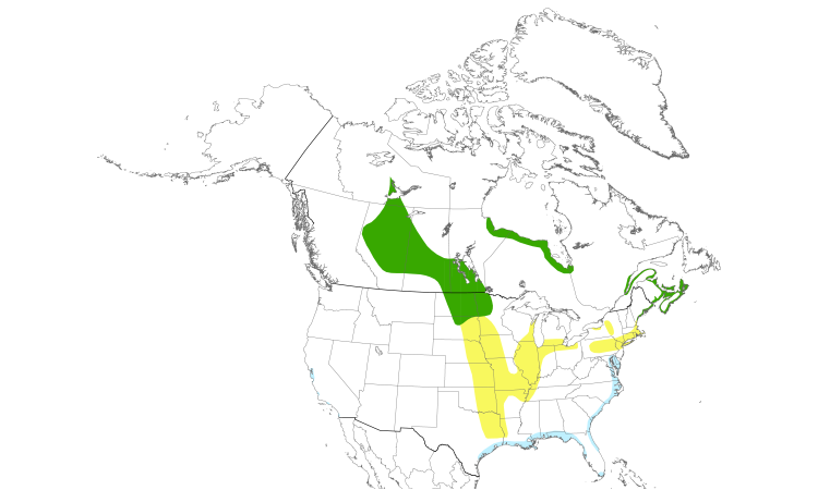 Range Map (North): Nelson's Sparrow