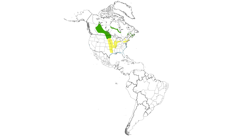 Range Map (Americas): Nelson's Sparrow