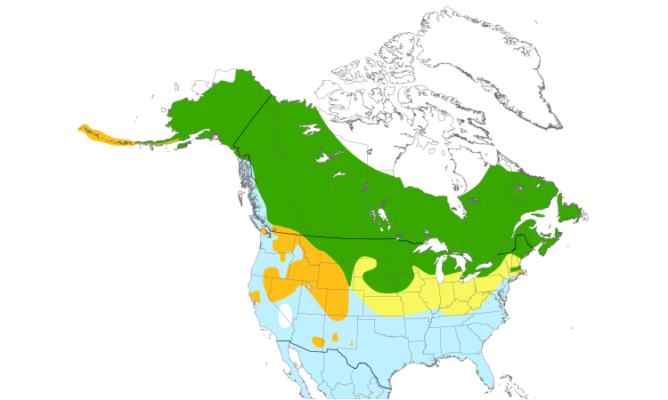Range Map (North): Green-winged Teal