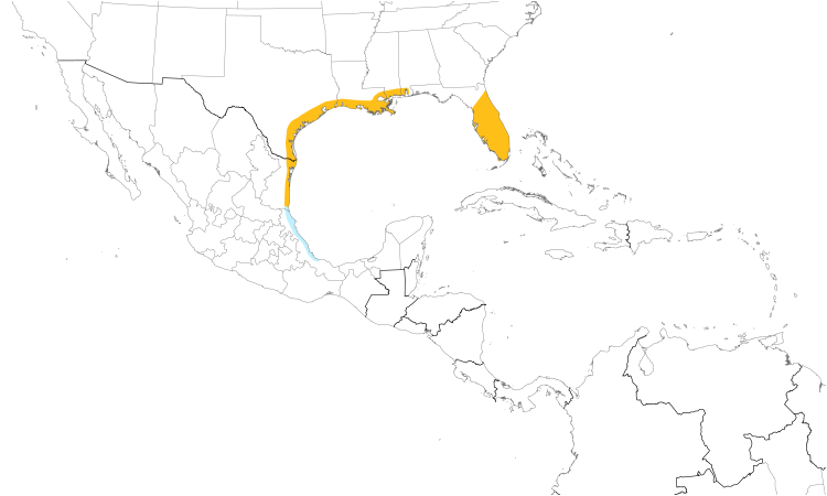 Range Map (Central): Mottled Duck