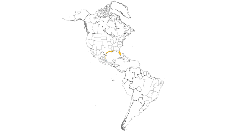 Range Map (Americas): Mottled Duck