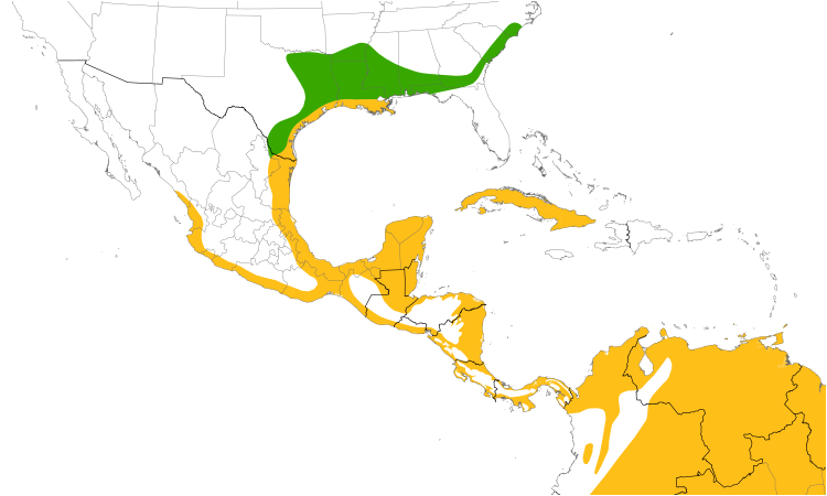 Range Map (Central): Anhinga