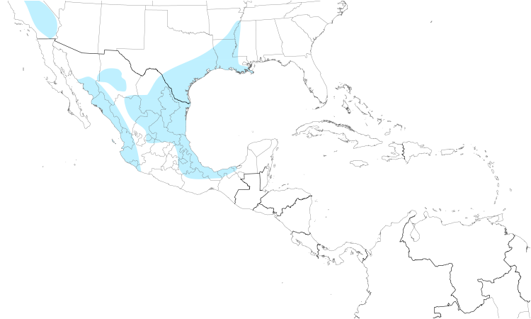 Range Map (Central): Greater White-fronted Goose