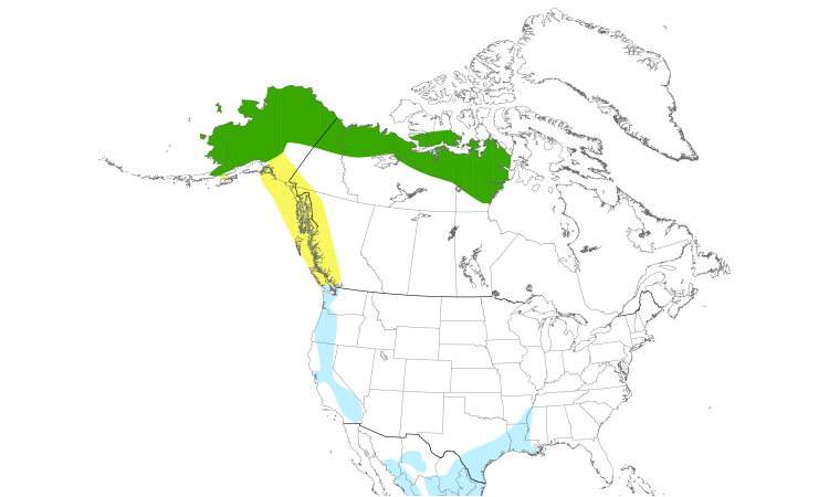 Range Map (North): Greater White-fronted Goose