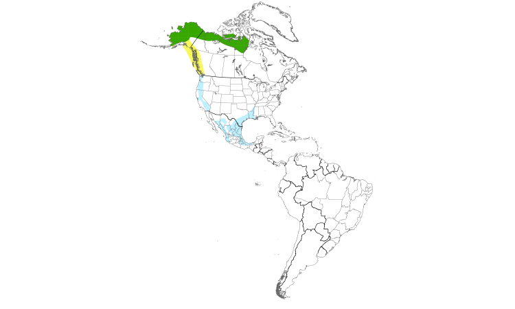 Range Map (Americas): Greater White-fronted Goose