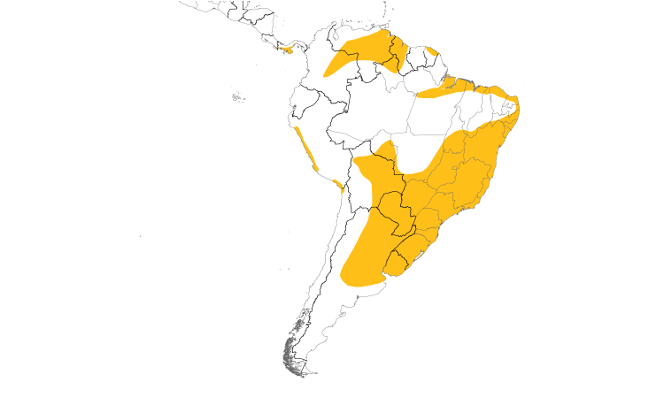 Range Map (South): Yellowish Pipit