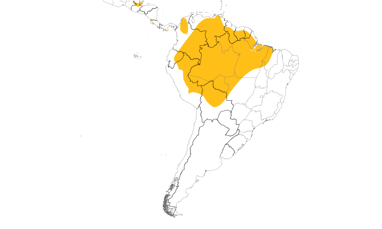 Range Map (South): Scarlet Macaw