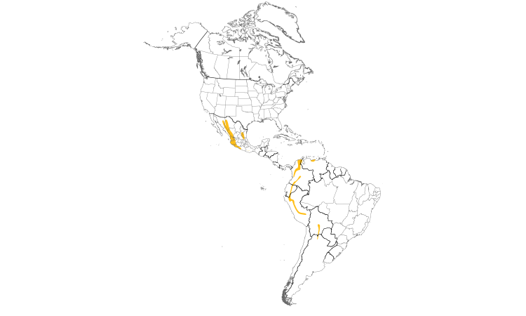 Range Map (Americas): Military Macaw