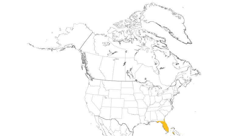 Range Map (North): Limpkin