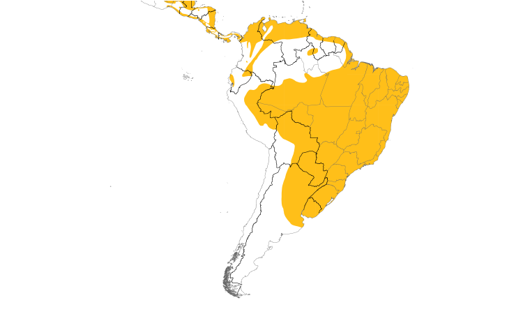 Range Map (South): Limpkin