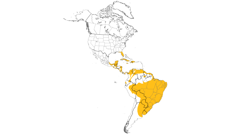 Range Map (Americas): Limpkin