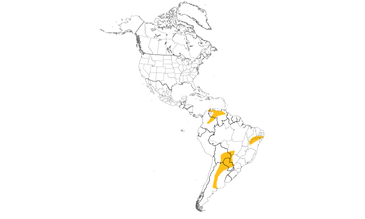 Range Map (Americas): Blue-crowned Parakeet