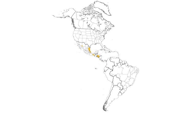 Range Map (Americas): Green Parakeet