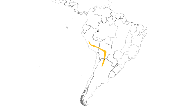 Range Map (South): Mitred Parakeet