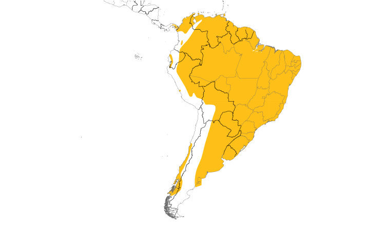Range Map (South): Cocoi Heron