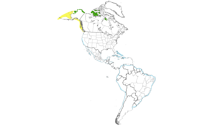 Range Map (Americas): Ruddy Turnstone