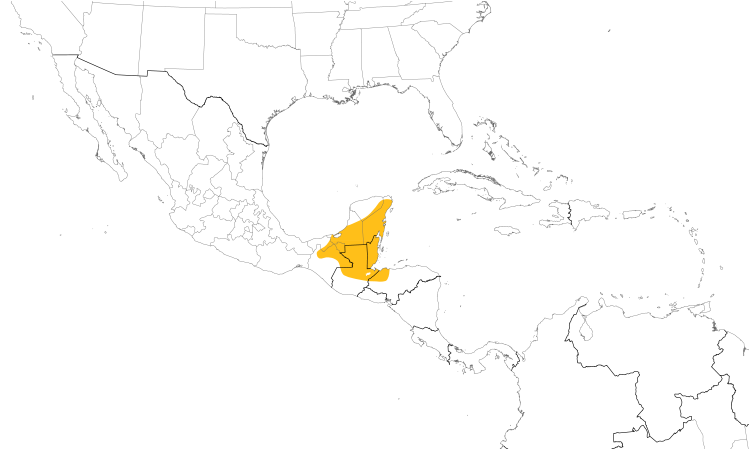 Range Map (Central): Green-backed Sparrow