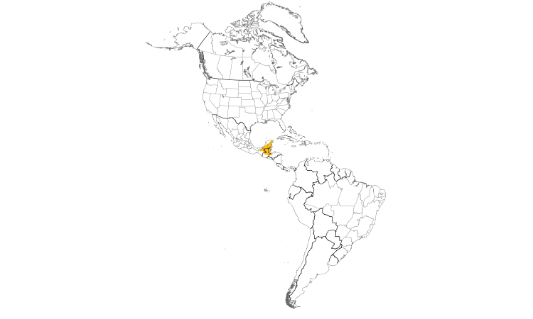 Range Map (Americas): Green-backed Sparrow