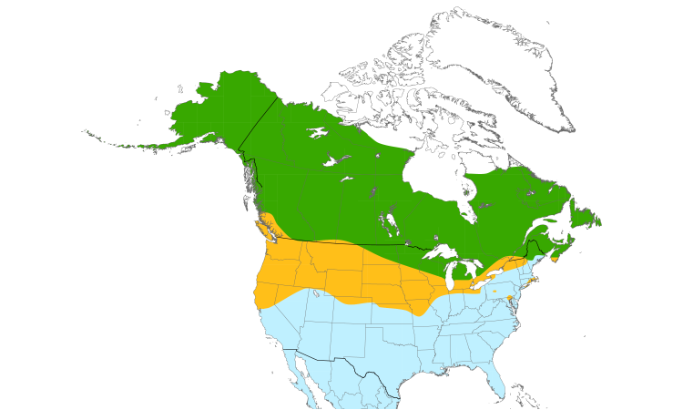 Range Map (North): Short-eared Owl