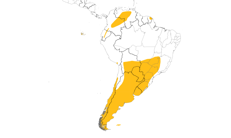 Range Map (South): Short-eared Owl