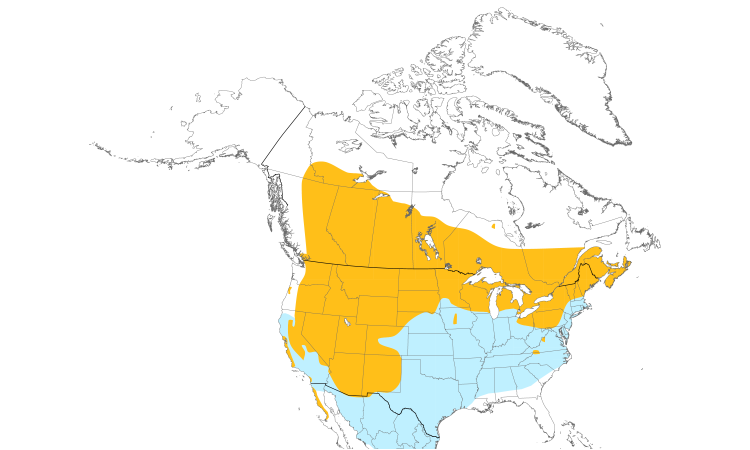 Range Map (North): Long-eared Owl