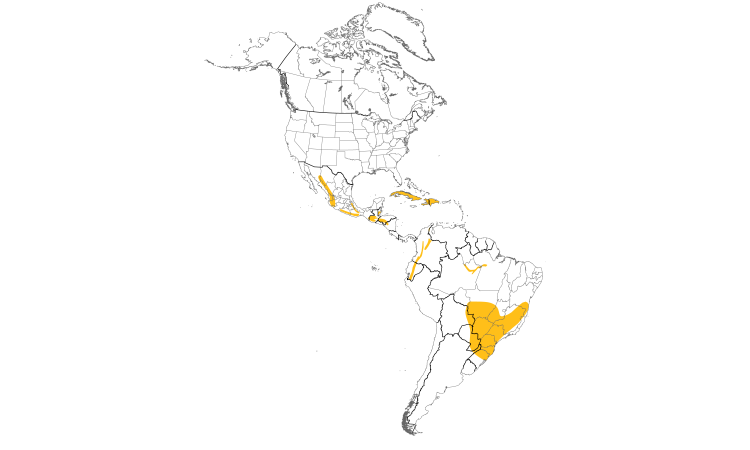 Range Map (Americas): Stygian Owl