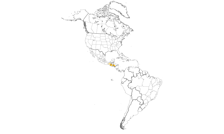 Range Map (Americas): Blue-throated Motmot